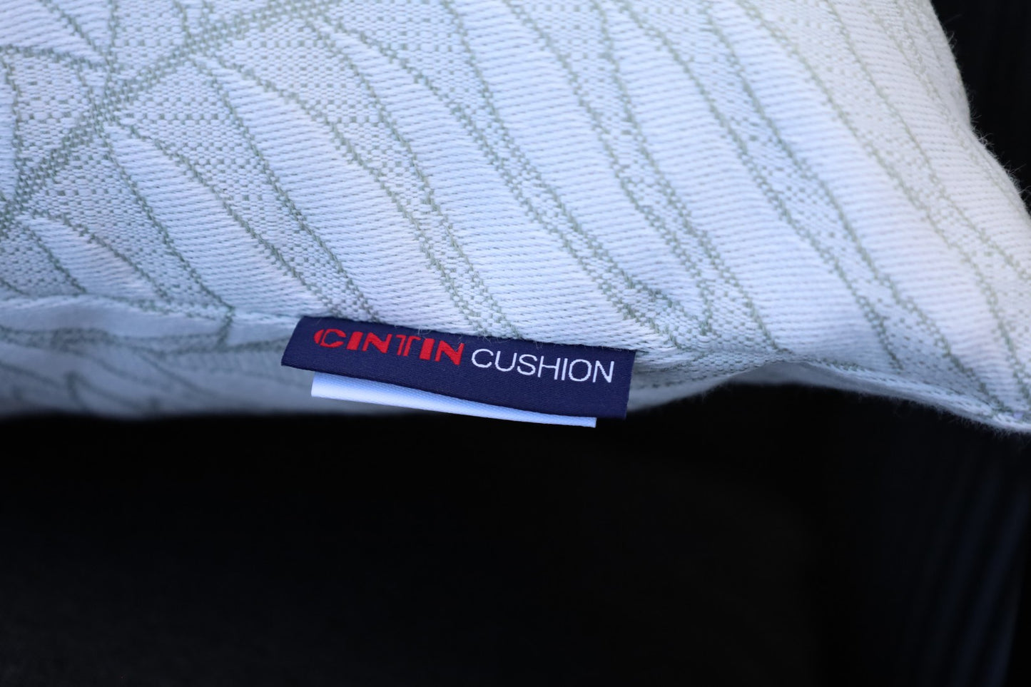CINTIN Sunbrella Lively Sage Outdoor Pillow Set of 4