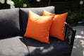 CINTIN Sunbrella® Canvas Tuscan Outdoor Pillow Set of 2