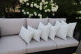 CINTIN Sunbrella Lively Sage Outdoor Pillow Set of 6