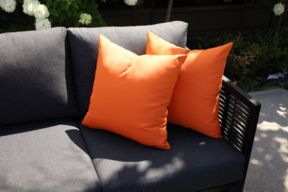 CINTIN Sunbrella® Canvas Tuscan Outdoor Pillow Set of 2