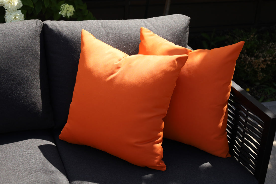 CINTIN Sunbrella® Canvas Tuscan Outdoor Pillow Set of 2